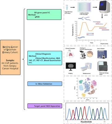 90-Gene Expression Profiling for Tissue Origin Diagnosis of Cancer of Unknown Primary